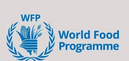 Programa Alimentar Mundial:O que são parcerias agro para soluções hands up