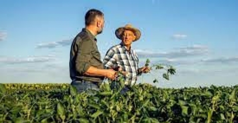 EUA: Os bilionários que investem em agricultura regenerativa