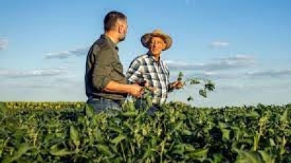 EUA: Os bilionários que investem em agricultura regenerativa