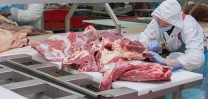 Carne cai no campo, mas varejo não repassa toda queda e afeta consumo 