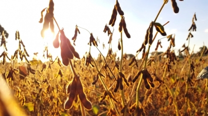 PIB do agro em 2024 deve ser próximo a 0%