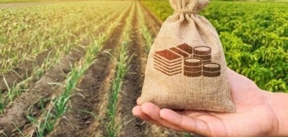 Recuperação judicial no agro torna crédito caro e renegociação é saída