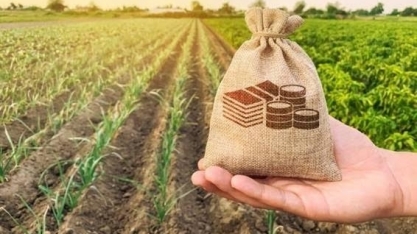 Recuperação judicial no agro torna crédito caro e renegociação é saída