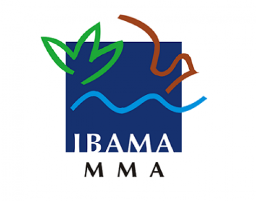 Greve no Ibama já mantém 30 mil carros importados parados