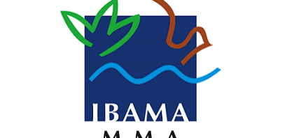 Greve no Ibama já mantém 30 mil carros importados parados