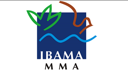 Greve no Ibama já mantém 30 mil carros importados parados