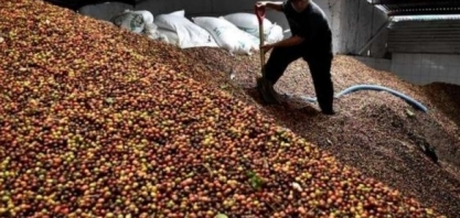  Atrasos de navios com café no Porto de Santos em fevereiro foi de 75%