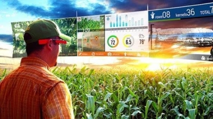 Economia cresce 2,9% em 2023, puxada por avanço recorde da agropecuária