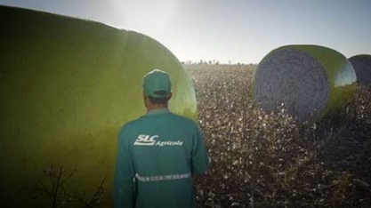 SLC Agrícola reverte lucro e fecha o 4T23 com prejuízo de R$ 153 milhões