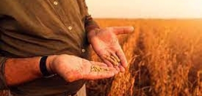 Recuperações judiciais: O agro está em crise? – Por Helen Jacintho