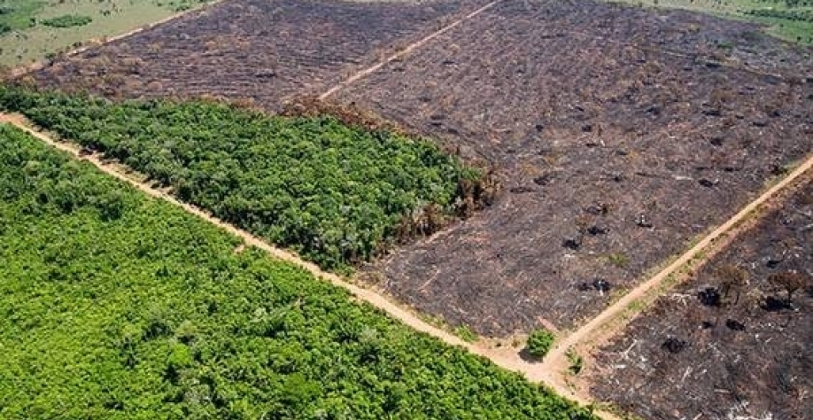 Como o governo prevê recuperar áreas degradadas da Amazônia e do Cerrado