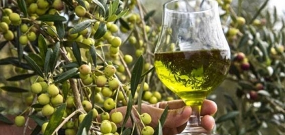 Clima afeta oliveiras e preço do azeite mantém forte aceleração