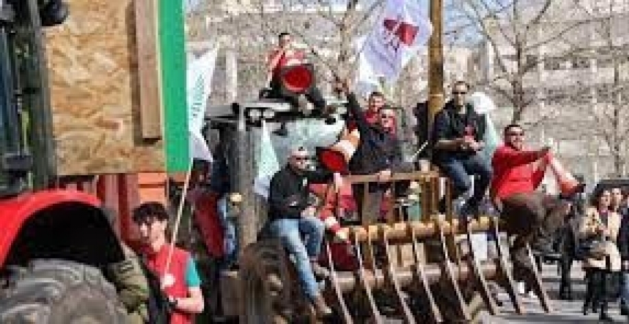 Por que agricultores têm tanta influência política na França