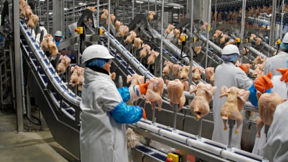 Brasil deve receber aval da UE para exportar mais frango, diz ministro