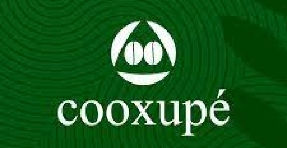 Cooperativa distribui R$ 101 mi a cafeicultores de Minas Gerais e São Paulo