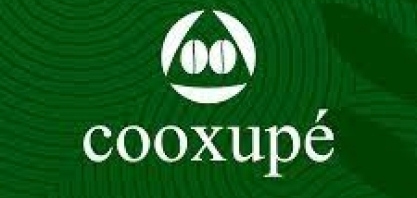 Cooperativa distribui R$ 101 mi a cafeicultores de Minas Gerais e São Paulo