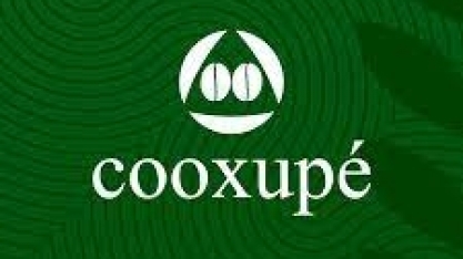 Cooperativa distribui R$ 101 mi a cafeicultores de Minas Gerais e São Paulo