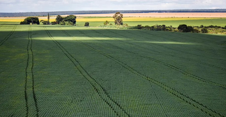 Previsão de safra 2023/24 indica produção de 295,59 mi/t,-76% ante 2022/23