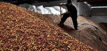 Café:Exportação em março aumenta 26% ante março/23, para 3,604 mi de sacas