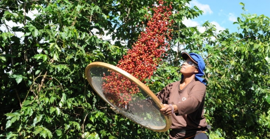 Café: Finalmente NY começou a andar! – Por Marcelo Fraga Moreira