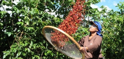 Café: Finalmente NY começou a andar! – Por Marcelo Fraga Moreira