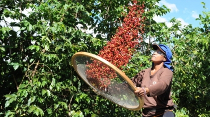 Café: Finalmente NY começou a andar! – Por Marcelo Fraga Moreira