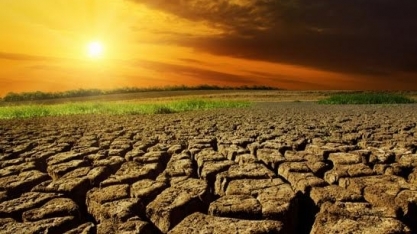 Plantio em áreas degradadas é aposta para maior produção de biocobustível