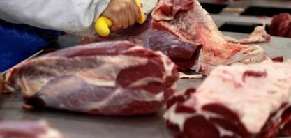 Exportação de carne bovina do Brasil cresceu 25,9% no 1º tri, diz Abiec 