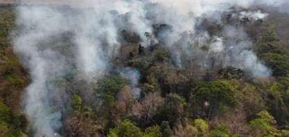 Incêndios em áreas de florestas maduras da amazônia cresceram 152% em 2023