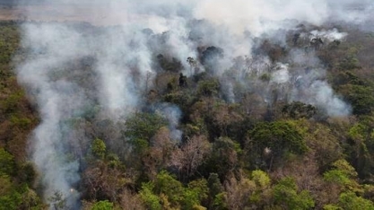 Incêndios em áreas de florestas maduras da amazônia cresceram 152% em 2023
