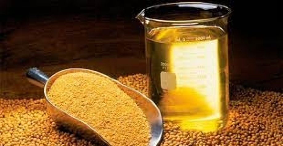 Cadeia produtiva da soja e do biodiesel chega a 23,2% do PIB do agronegócio