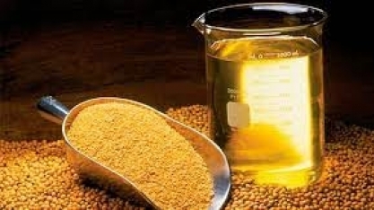Cadeia produtiva da soja e do biodiesel chega a 23,2% do PIB do agronegócio
