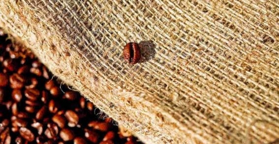 Brasil exporta 4,3 mi de sacas de café em março, volume recorde para o mês