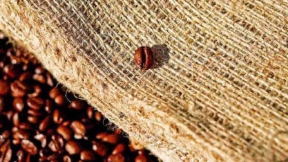 Brasil exporta 4,3 mi de sacas de café em março, volume recorde para o mês