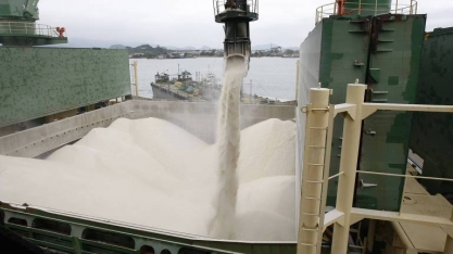 Açúcar: Exportação em março sobe 48,8% em volume e 77,2% em receita 