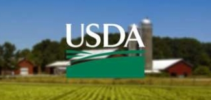 Intenção de plantio de grãos nos EUA não muda cenário de preços 