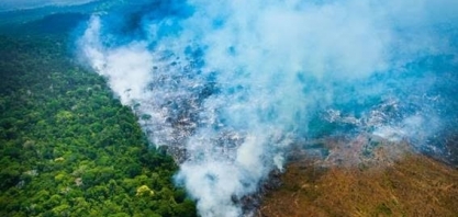 Brasil reduziu em 36% a perda de florestas em 2023, mostra estudo