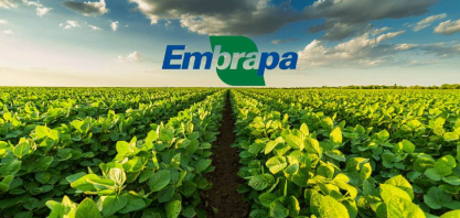 Embrapa gera lucro social de R$ 85,12 bi em 2023 com 182 tecnologias