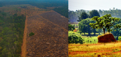 Desmatamento na amazônia cai 42% no 1º trimestre; no cerrado batem recorde