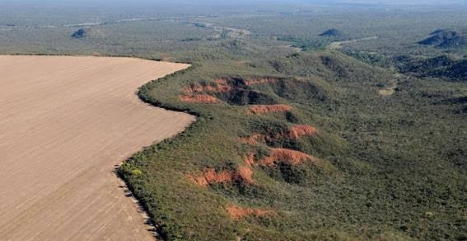 Folha percorre quase 3 mil km no cerrado em série sobre desmatamento