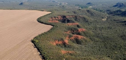 Folha percorre quase 3 mil km no cerrado em série sobre desmatamento