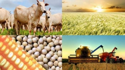 Receita agrícola deve cair 3,5% este ano, a R$ 916,1 bi