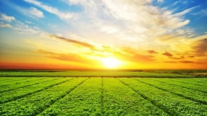 Agro vai continuar crescendo, mas produtores precisam de apoio