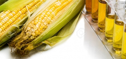 Na terra da cana, 17% da produção de etanol já provém do milho