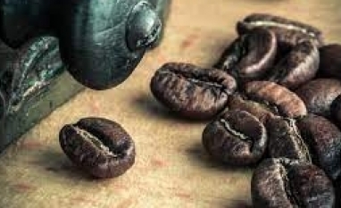 Café robusta mantém alta no campo e se aproxima do valor do arábica