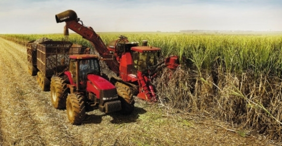 Brasil fecha safra 2023/24 de cana com recorde de 700 milhões de toneladas 