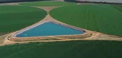 Agro regenerativo: A receita da ADM para fazer 200 mil hectares no Brasil