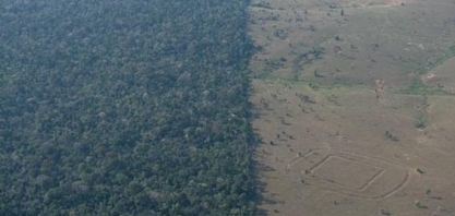 O que falta para o Brasil ter uma agenda verde efetiva