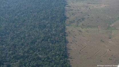 O que falta para o Brasil ter uma agenda verde efetiva