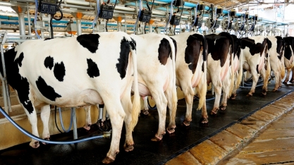 Preço do leite captado em fevereiro sobe pelo 4º mês consecutivo